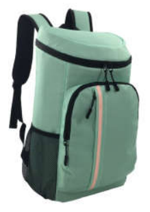 Travel Backpack Green